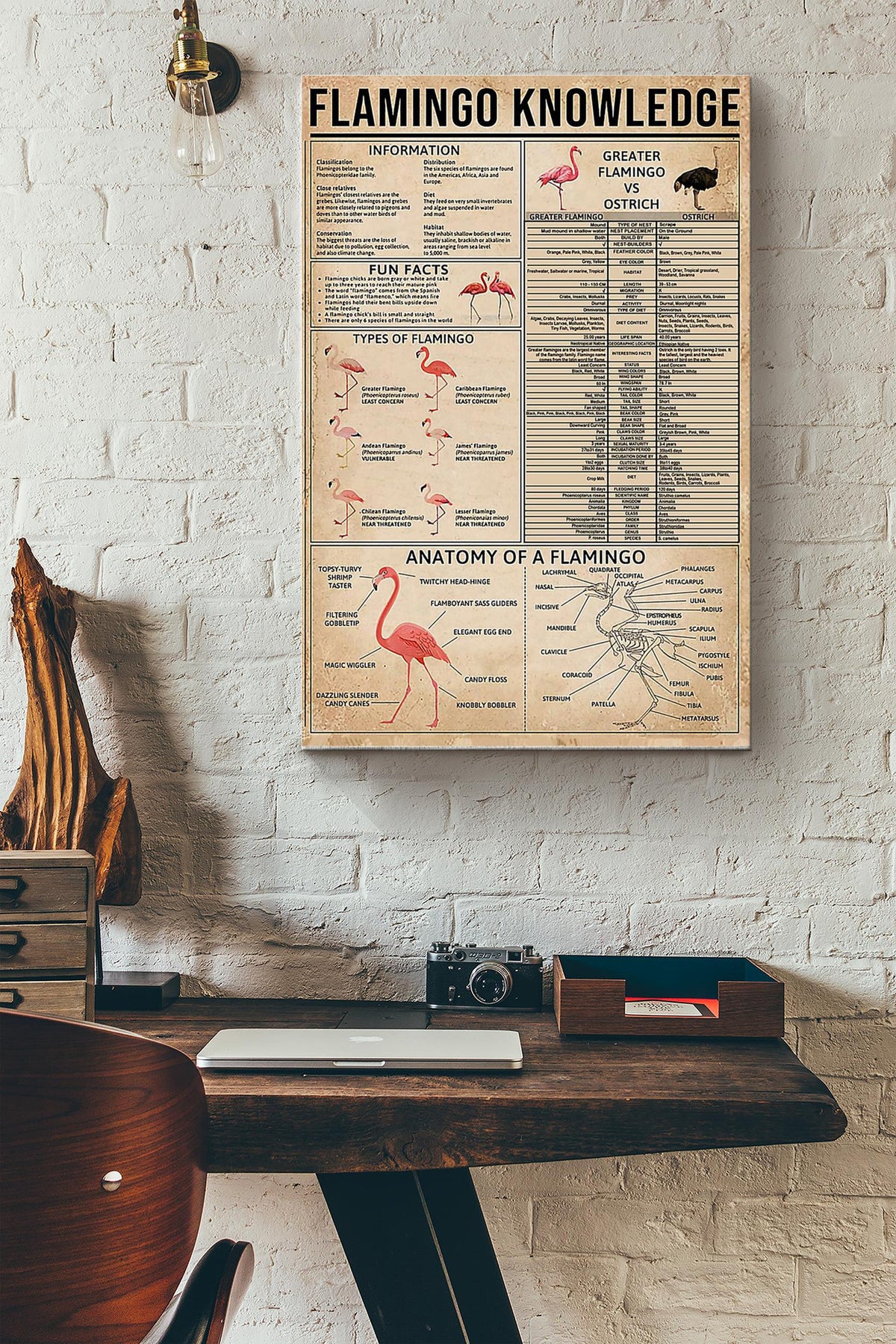 Famingo Knowledge Things You Need To Know About Flamingo Poster Canvas Gallery Wrapped Canvas Framed Gift Idea