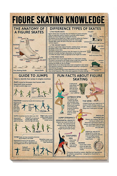 Figure Skating Knowledge Wall Art Gift For Figure Skater Skating Rink Decor Canvas Gallery Wrapped Canvas Framed Gift Idea Framed Prints, Canvas