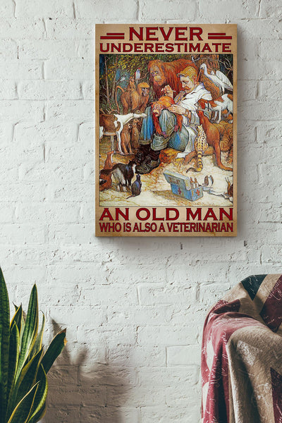 Never Underestimate Veterinarian Old Man Gift For Grandfather Veteran Canvas