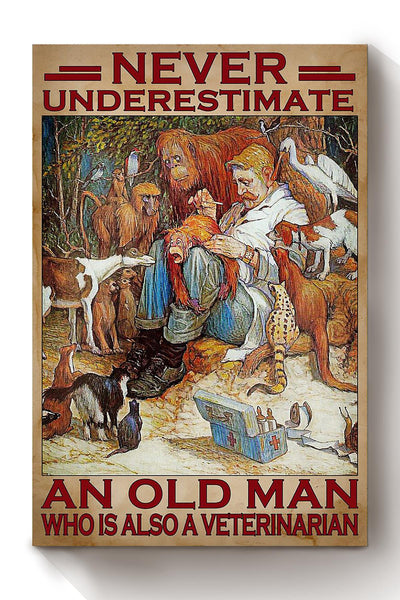Never Underestimate Veterinarian Old Man Gift For Grandfather Veteran Canvas