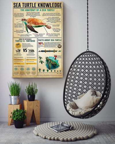 Sea Turtle Basic Information Animal Knowledge Wall Art For Homeschool Home Decor Canvas Framed Prints, Canvas