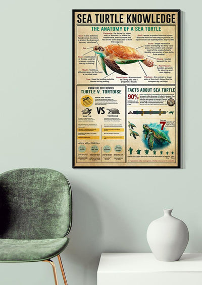 Sea Turtle Basic Information Animal Knowledge Wall Art For Homeschool Home Decor Canvas Framed Prints, Canvas