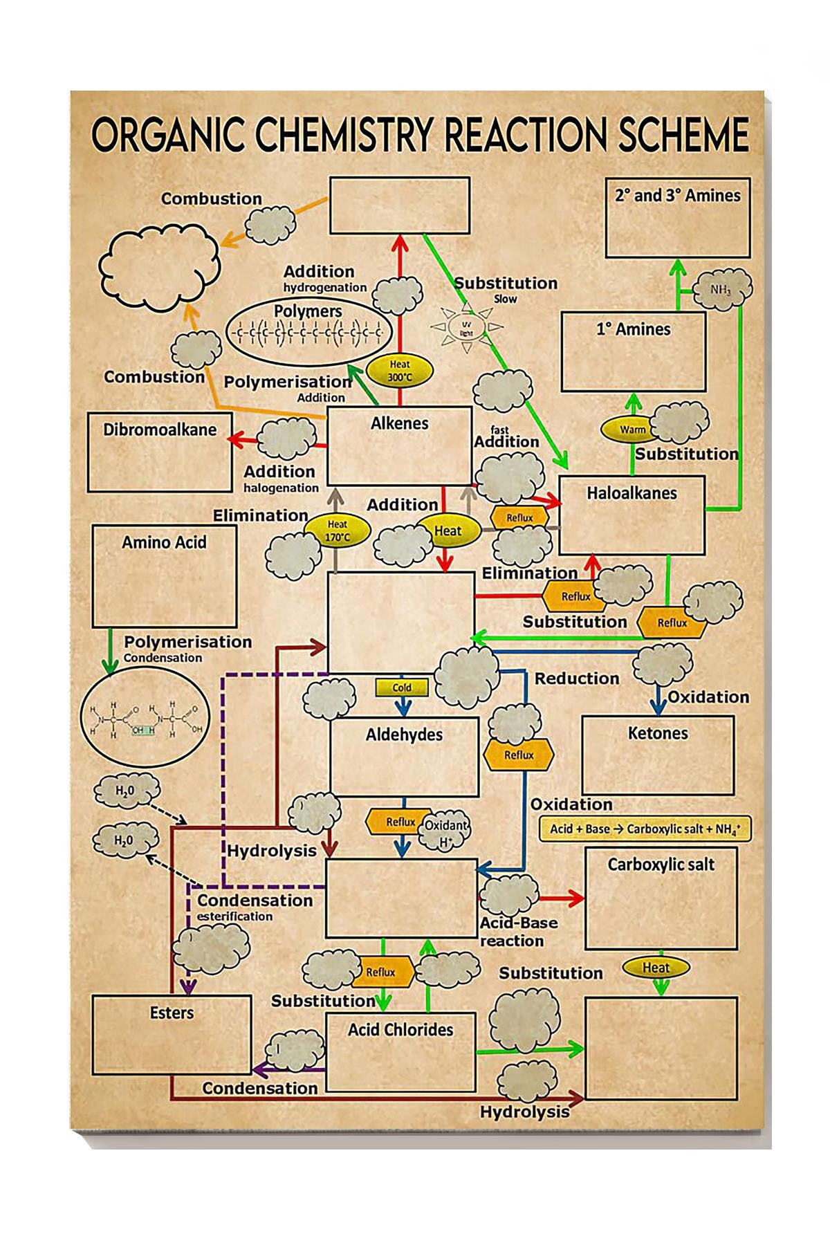 Organic Chemistry Reaction Scheme Science Knowledge For Homeschool Home Decor Canvas