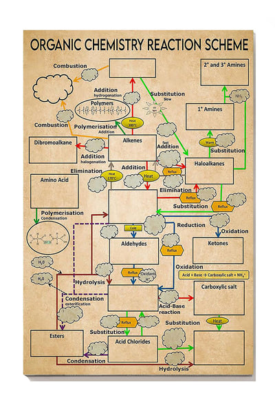 Organic Chemistry Reaction Scheme Science Knowledge For Homeschool Home Decor Canvas