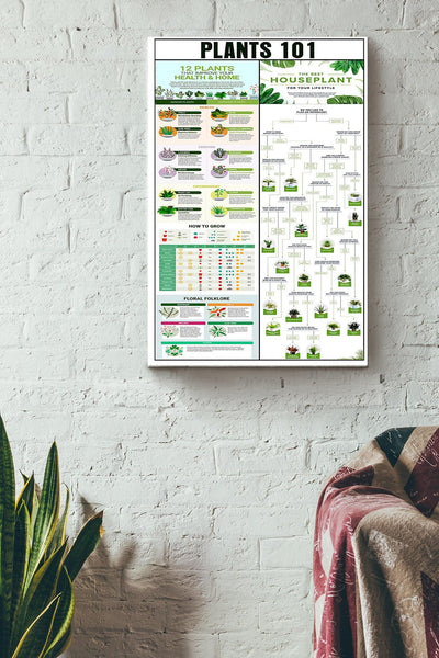 Plants 101 Gardening Poster Canvas Gallery Wrapped Canvas Framed Gift Idea