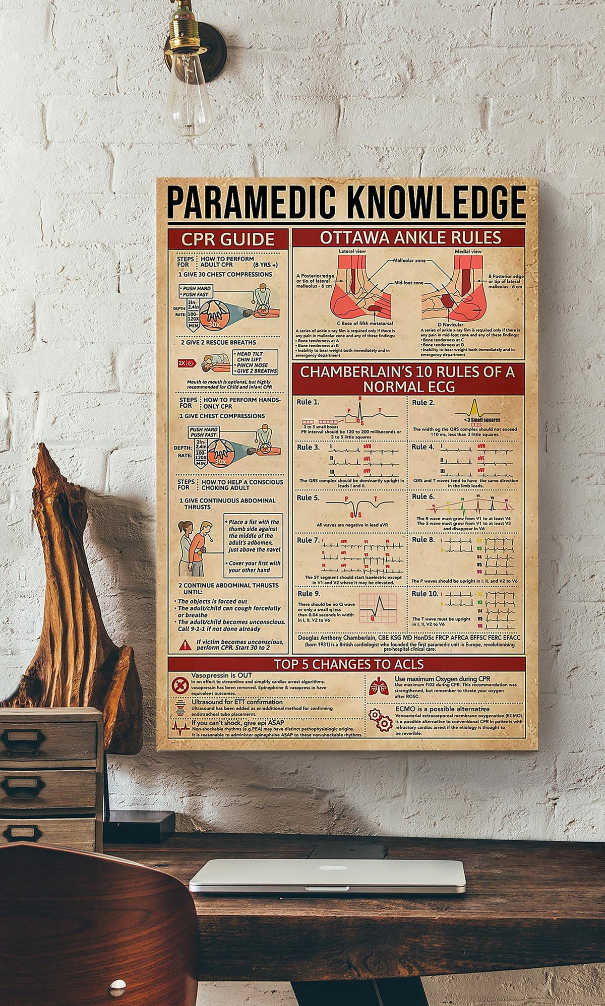 Paramedic Knowledge Wall Art For Nurse Hospital Decor Canvas Gallery Wrapped Canvas Framed Gift Idea Framed Prints, Canvas