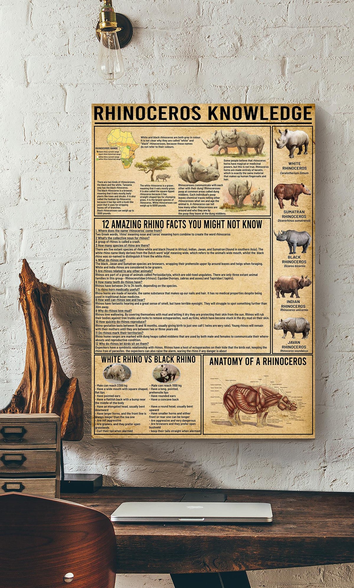Rhinoceros Amazing Fact Animal Knowledge Wall Art For Homeschool Nusery Kids Bedroom Decor Canvas Framed Prints, Canvas