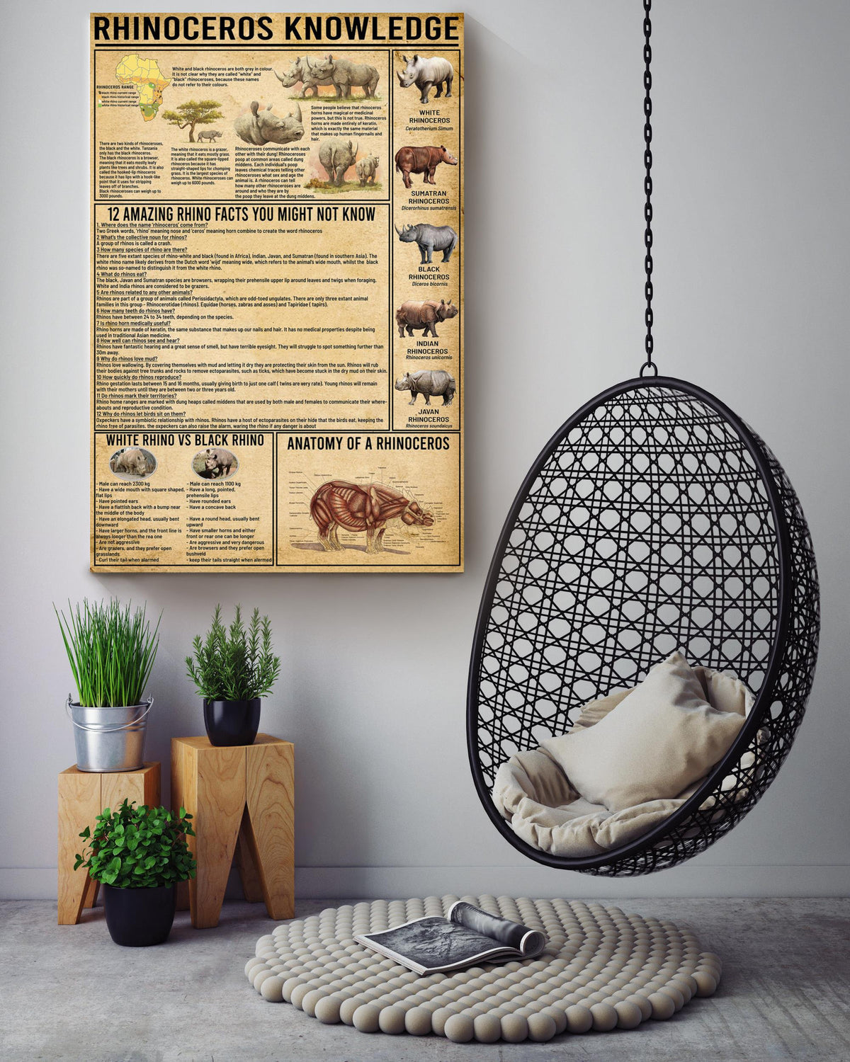 Rhinoceros Amazing Fact Animal Knowledge Wall Art For Homeschool Nusery Kids Bedroom Decor Canvas Framed Prints, Canvas