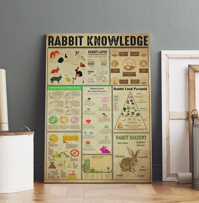 Rabbit Basic Information Animal Knowledge Wall Art For Homeschool Kids Bedroom Decor Canvas Framed Prints, Canvas