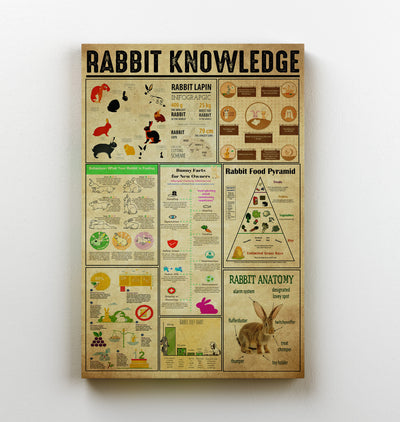 Rabbit Basic Information Animal Knowledge Wall Art For Homeschool Kids Bedroom Decor Canvas Framed Prints, Canvas
