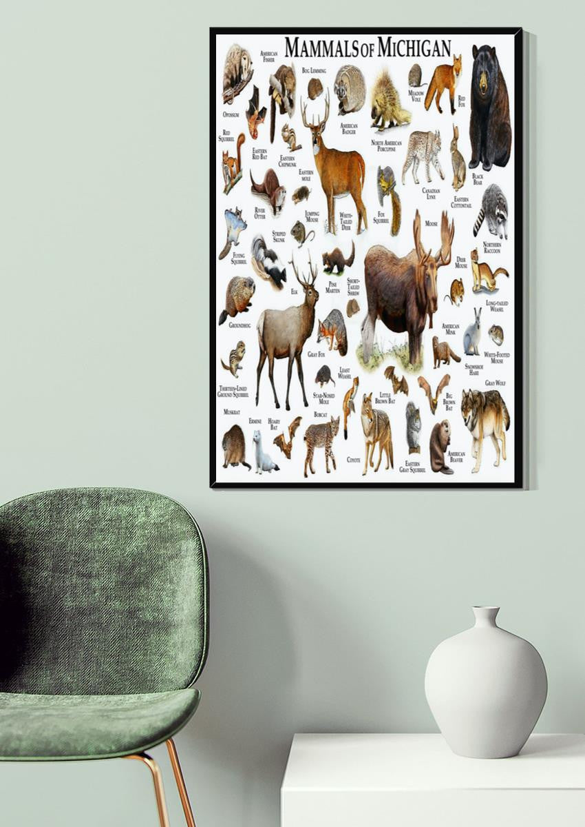 Mamals Of Michigan Animal Knowledge For Homeschool Nusery Kids Bedroom Decor Canvas