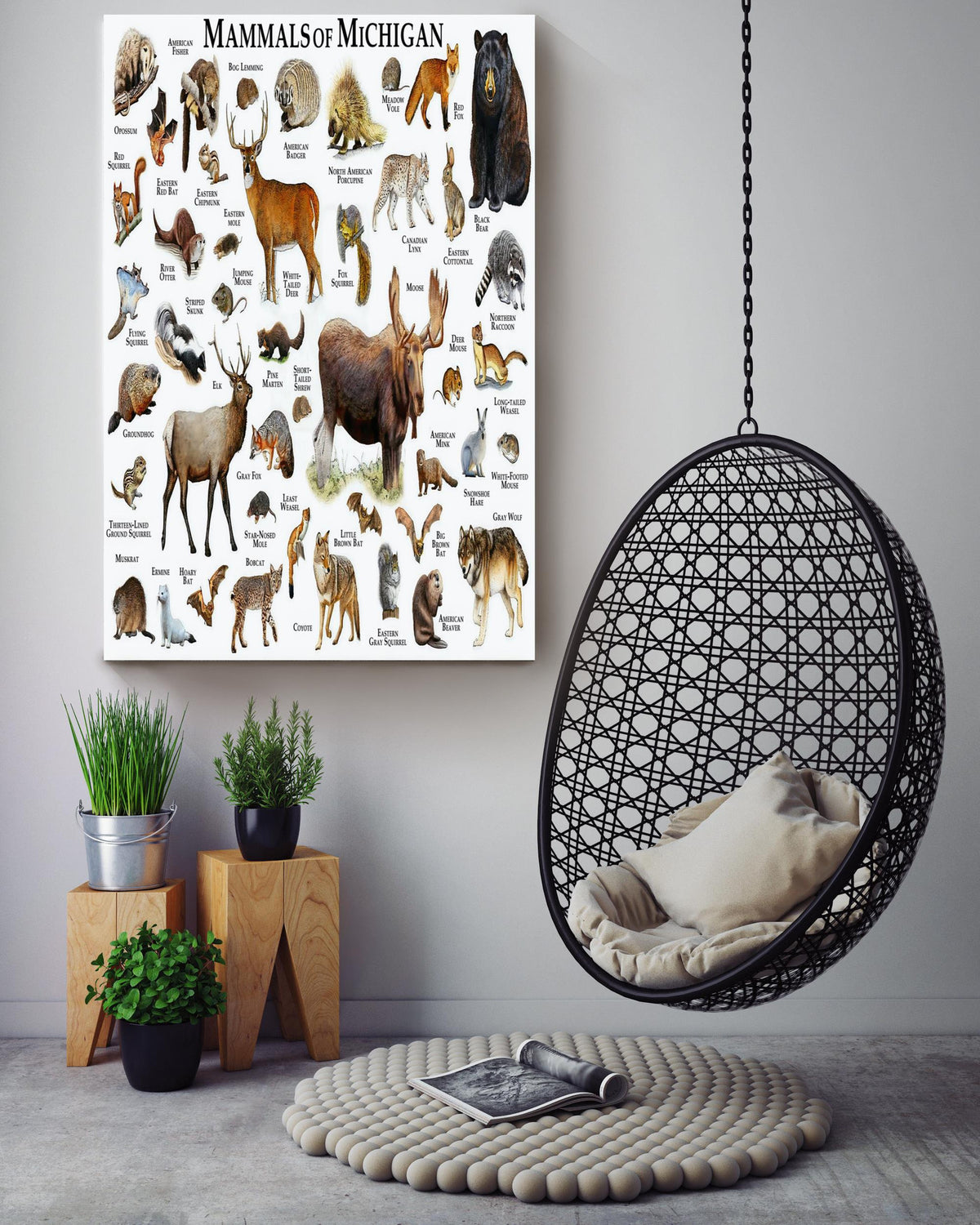 Mamals Of Michigan Animal Knowledge For Homeschool Nusery Kids Bedroom Decor Canvas