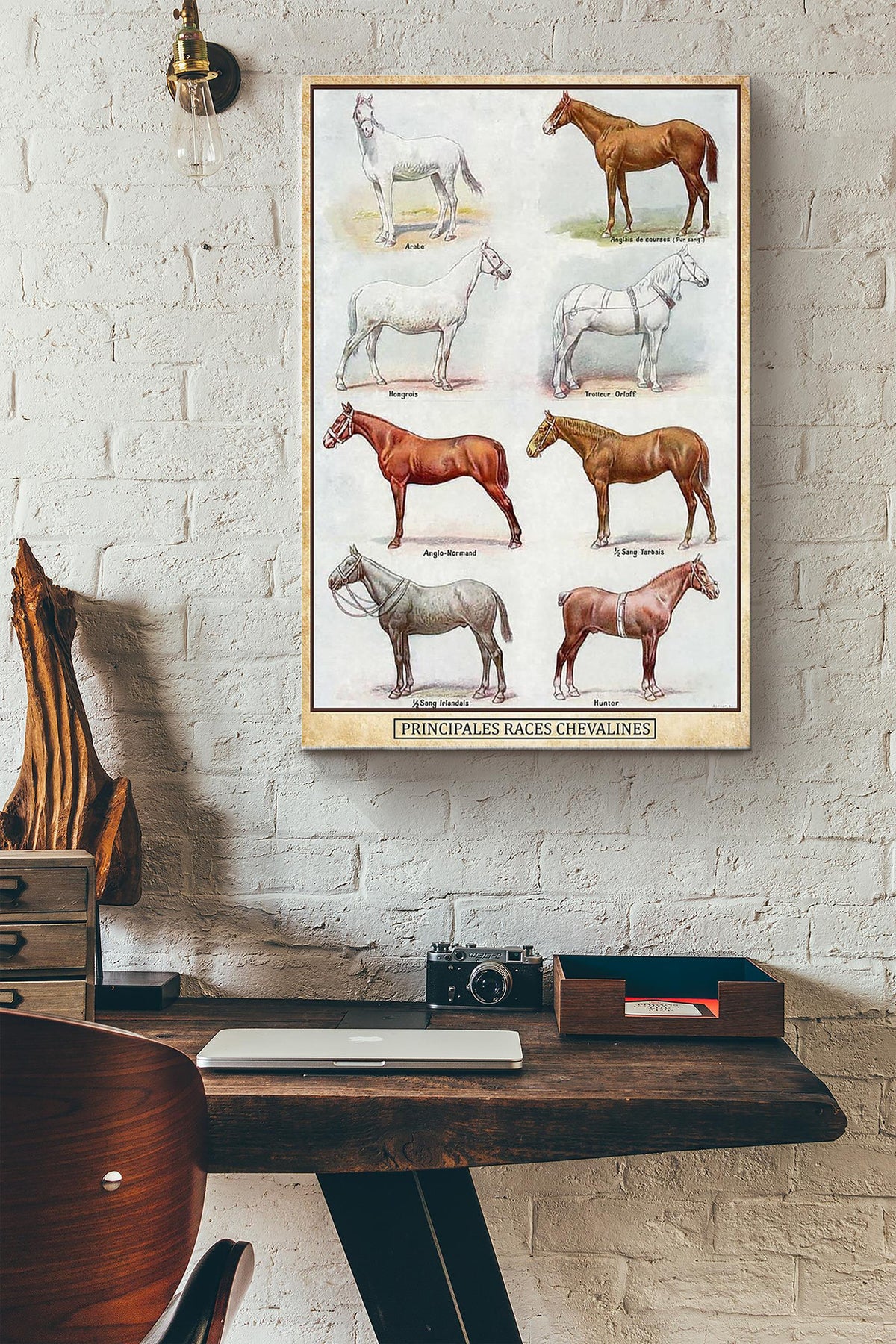 PRINCIPALES RACES CHEVALINES POSTER Canvas Gallery Wrapped Canvas Framed Gift Idea