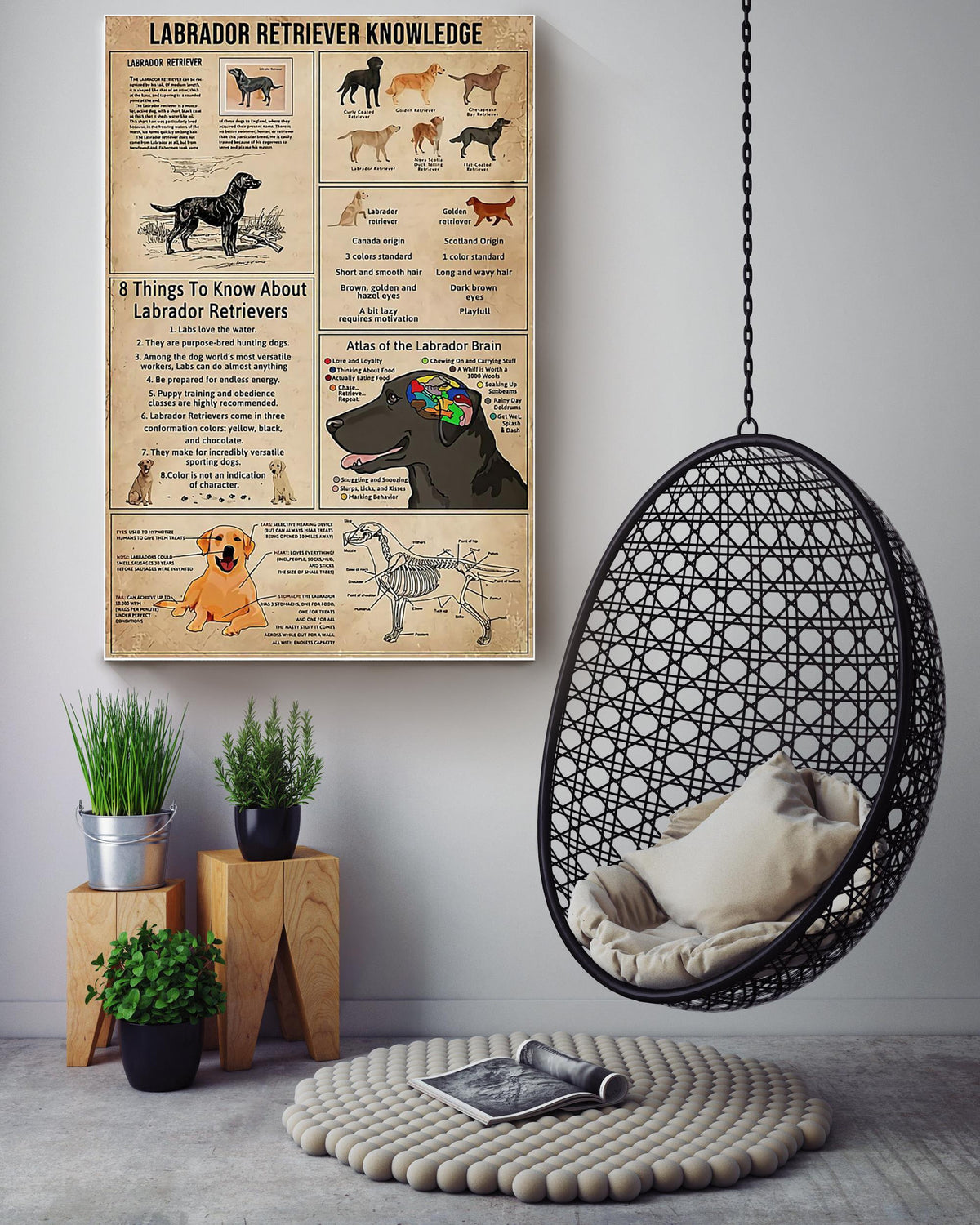 Labrador Retriever Facts Animal Knowledge For Homeschool Nusery Kids Bedroom Decor Canvas