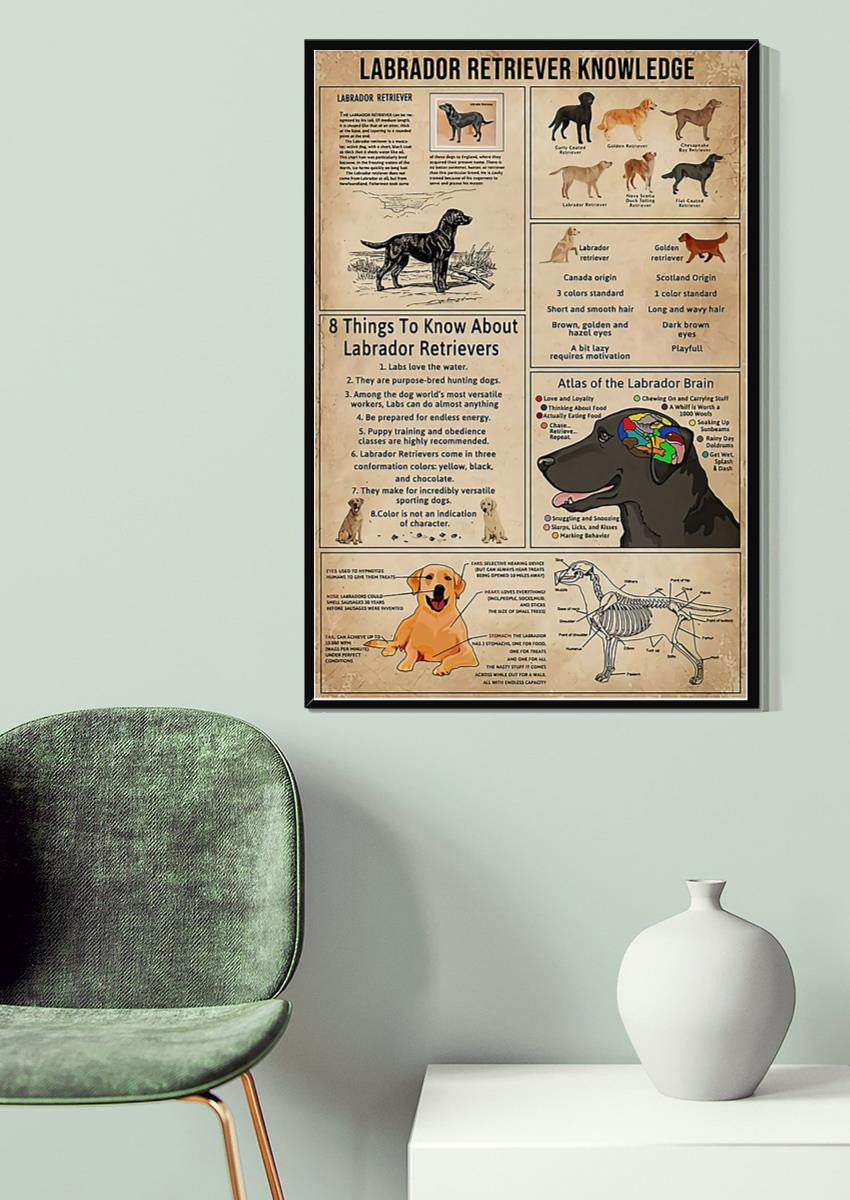 Labrador Retriever Facts Animal Knowledge For Homeschool Nusery Kids Bedroom Decor Canvas