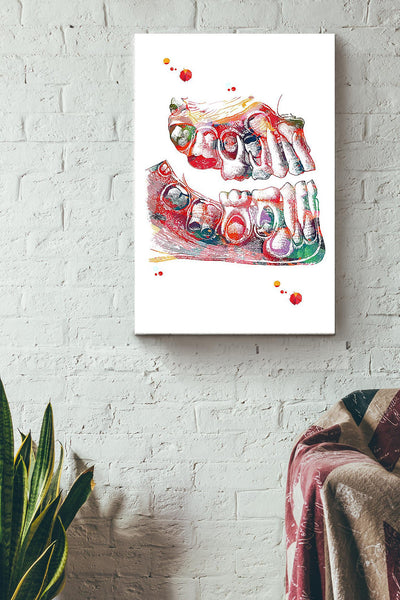 Jaw Bone And Teeth Color Art Dentist Poster Canvas Gallery Wrapped Canvas Framed Gift Idea
