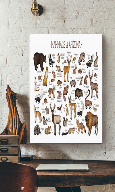 Mamals Of Ariona Animal Knowledge For Homeschool Nusery Kids Bedroom Decor Canvas