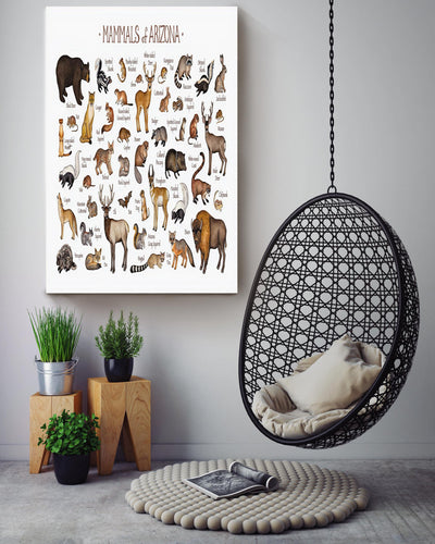 Mamals Of Ariona Animal Knowledge For Homeschool Nusery Kids Bedroom Decor Canvas