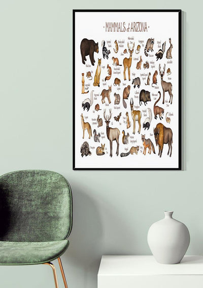 Mamals Of Ariona Animal Knowledge For Homeschool Nusery Kids Bedroom Decor Canvas