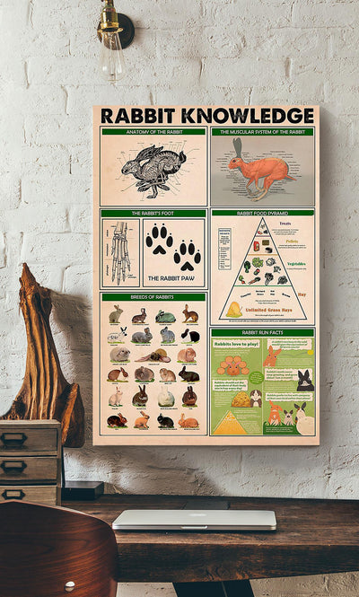Rabbit Basic Information Animal Knowledge Wall Art For Homeschool Nusery Kids Bedroom Decor Canvas Framed Prints, Canvas