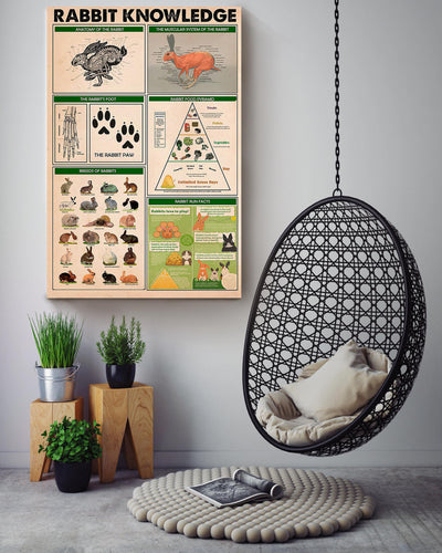Rabbit Basic Information Animal Knowledge Wall Art For Homeschool Nusery Kids Bedroom Decor Canvas Framed Prints, Canvas