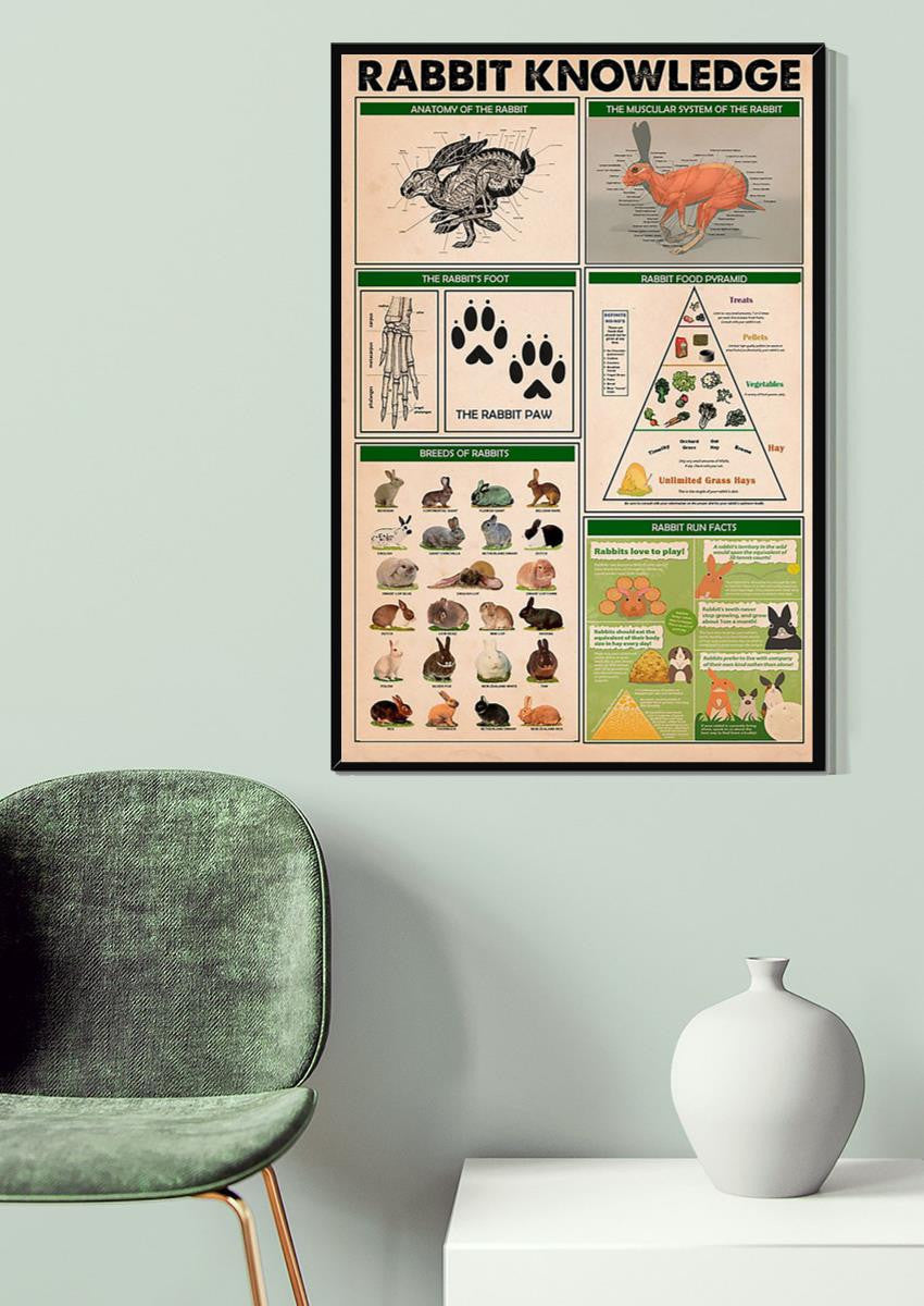 Rabbit Basic Information Animal Knowledge Wall Art For Homeschool Nusery Kids Bedroom Decor Canvas Framed Prints, Canvas