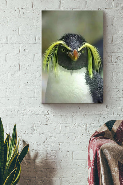 Macaroni Penguin Looking At You Funny Meme Gift For Home Decor Housewarming Canvas
