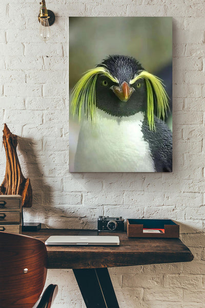 Macaroni Penguin Looking At You Funny Meme Gift For Home Decor Housewarming Canvas