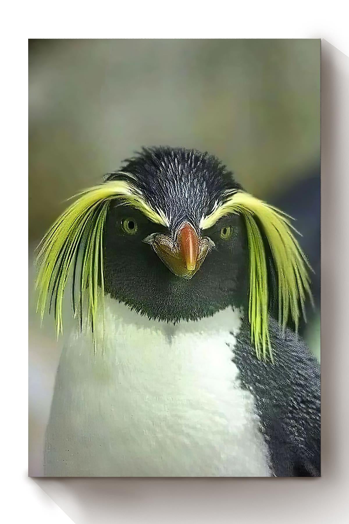 Macaroni Penguin Looking At You Funny Meme Gift For Home Decor Housewarming Canvas