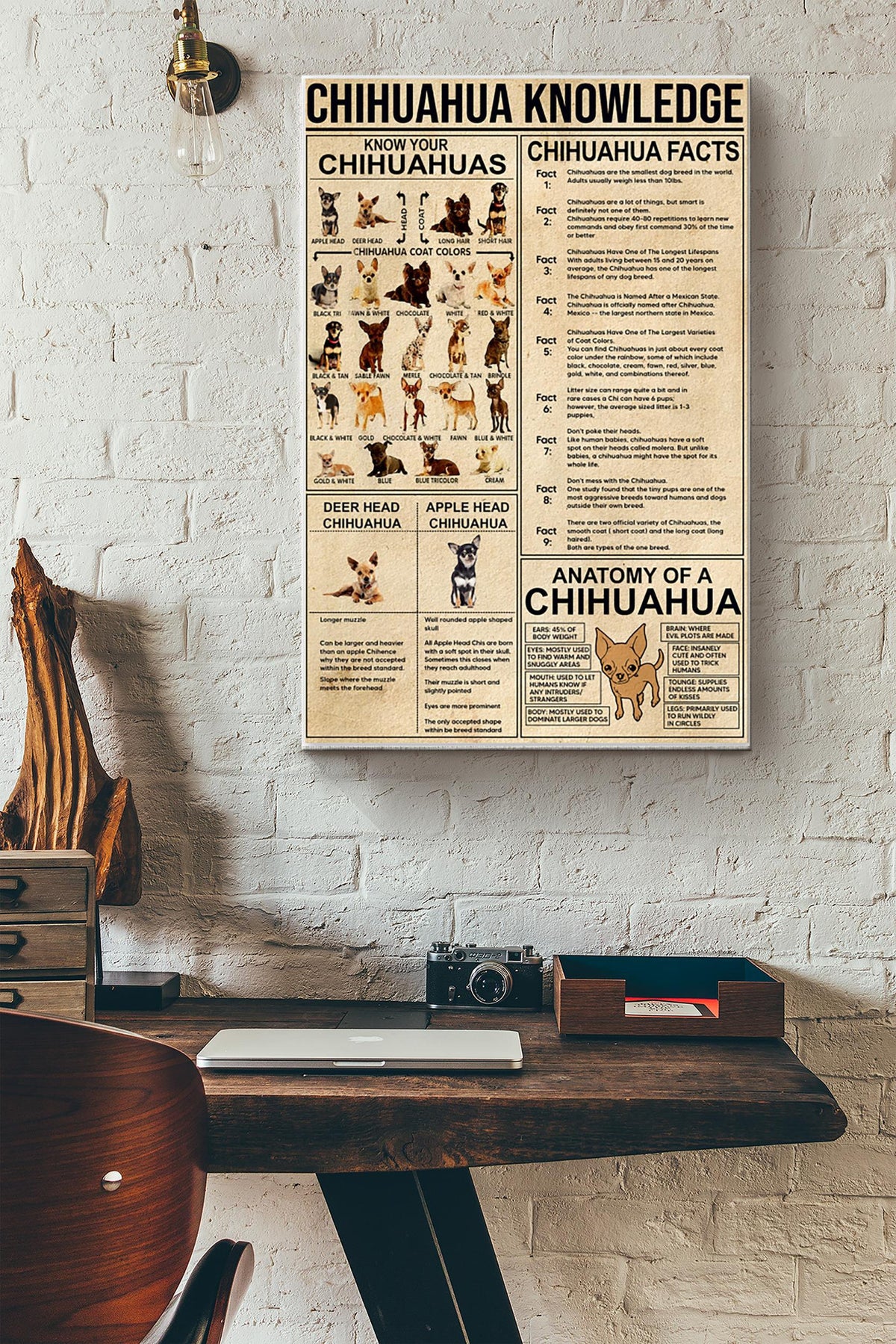 Know Your Chihuahua Chihuahua Knowledge Wall Decor Poster Canvas Gallery Wrapped Canvas Framed Gift Idea
