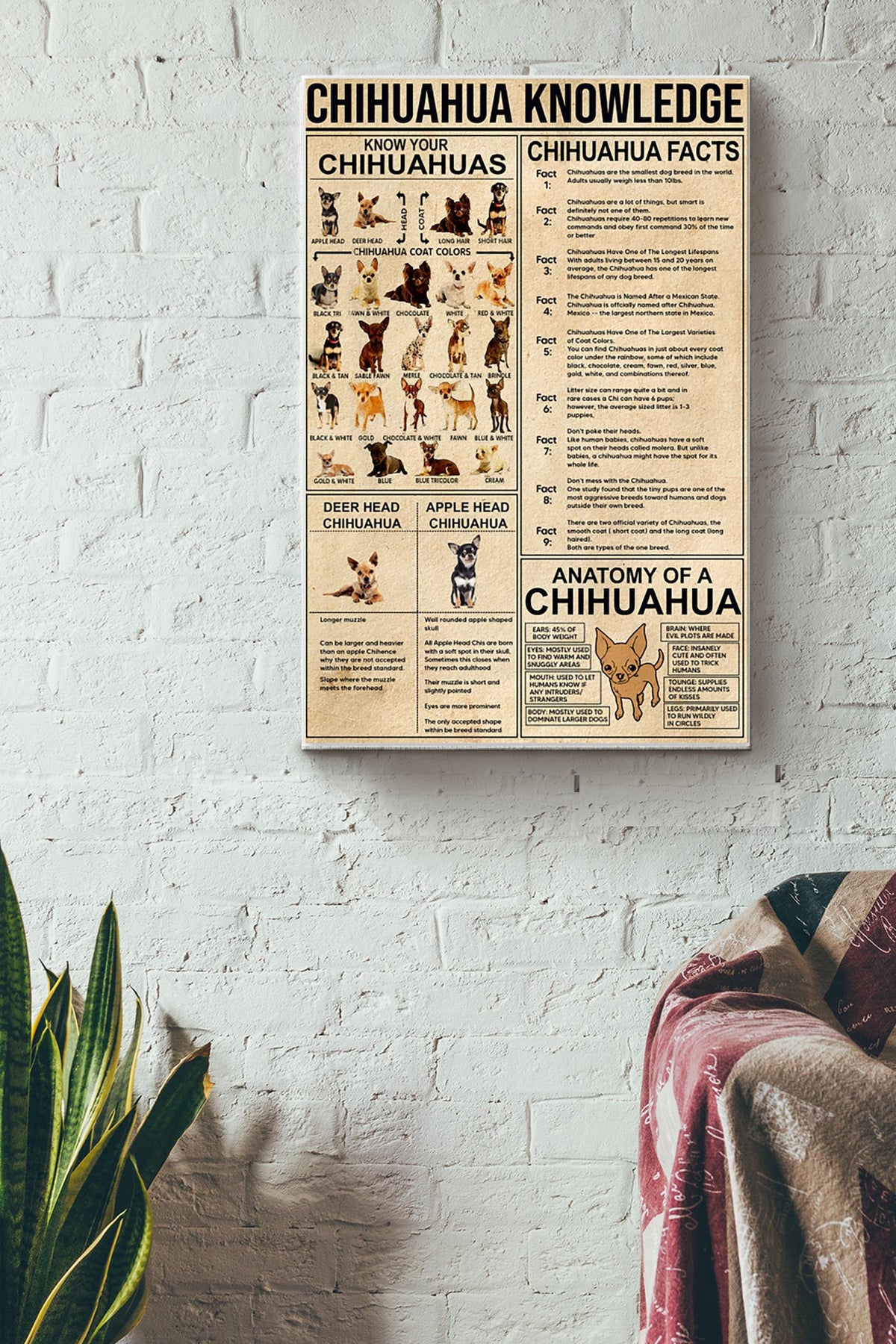 Know Your Chihuahua Chihuahua Knowledge Wall Decor Poster Canvas Gallery Wrapped Canvas Framed Gift Idea