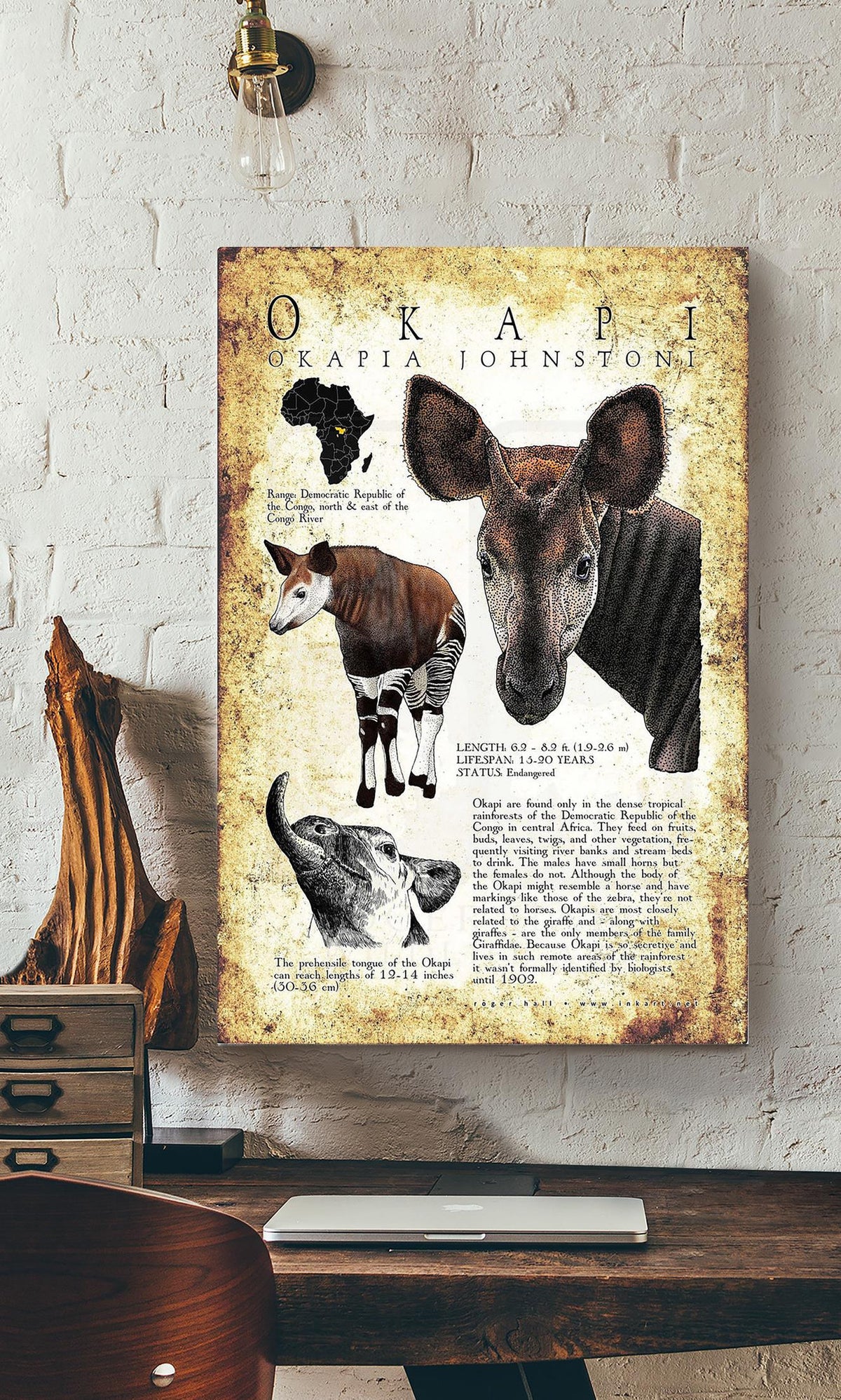 Okapi Poster Animal Wall Art For Lab Museum Decor Canvas Gallery Wrapped Canvas Framed Gift Idea Framed Prints, Canvas