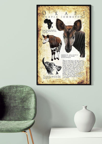 Okapi Poster Animal Wall Art For Lab Museum Decor Canvas Gallery Wrapped Canvas Framed Gift Idea Framed Prints, Canvas