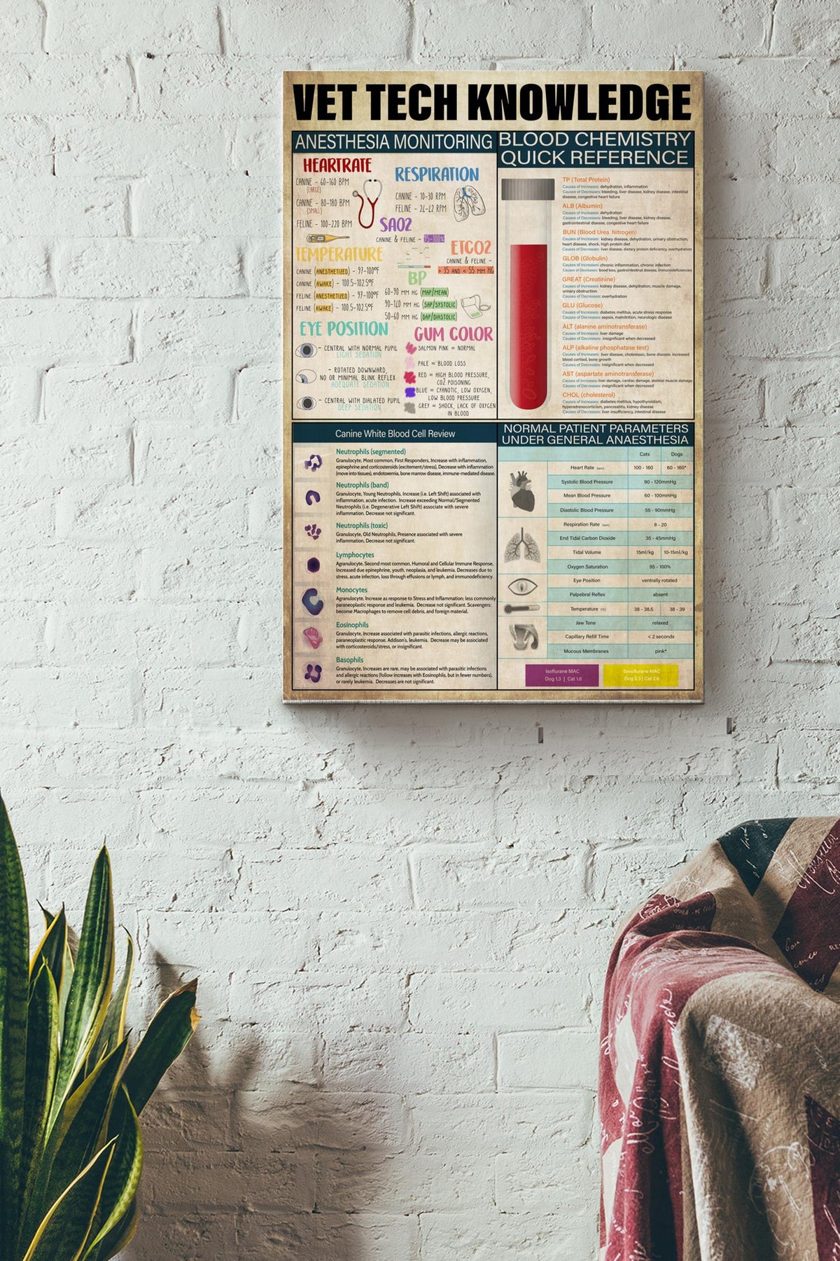 Vet Tech Knowledge Basic Information Poster - Animal Knowledge Gallery Canvas Wall Art- Gift For Veterinary Clinic Veterinary Doctor Animal Lover Canvas Gallery Wrapped Canvas Framed Gift Idea Framed Prints, Canvas