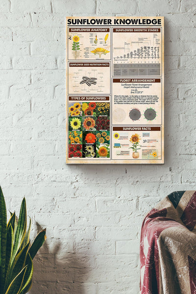 Sunflower Knowledge Things About Sunflowers Poster Canvas Gallery Wrapped Canvas Framed Gift Idea