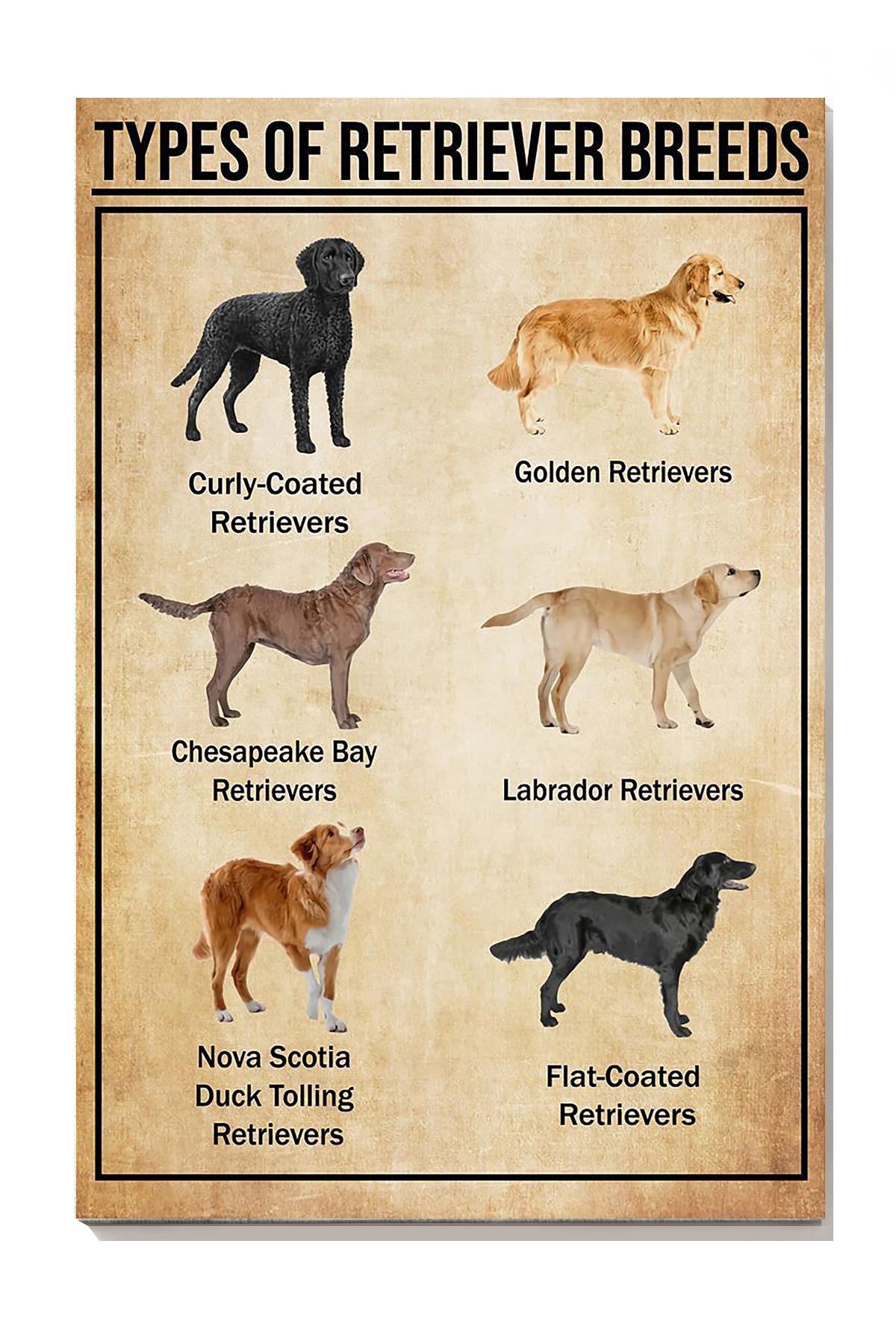 Types Of Retriever Breeds Dog Gallery Canvas Wall ArtGift For Dog Lover Canvas Gallery Wrapped Canvas Framed Gift Idea Framed Prints, Canvas