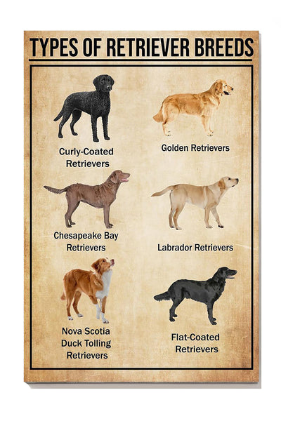 Types Of Retriever Breeds Dog Gallery Canvas Wall ArtGift For Dog Lover Canvas Gallery Wrapped Canvas Framed Gift Idea Framed Prints, Canvas
