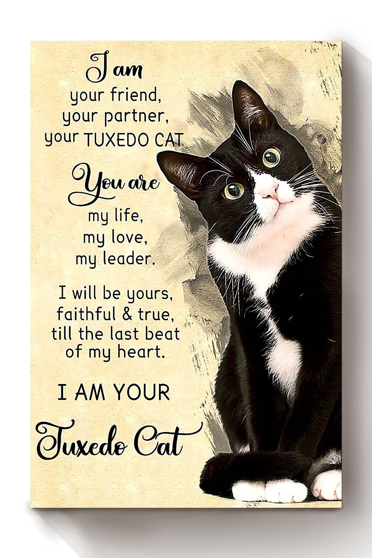 Tuxedo Cat I Am Your Animal Gallery Canvas Wall ArtGift For Cat Lover International Cat Day Kitten Foster Canvas Framed Prints, Canvas
