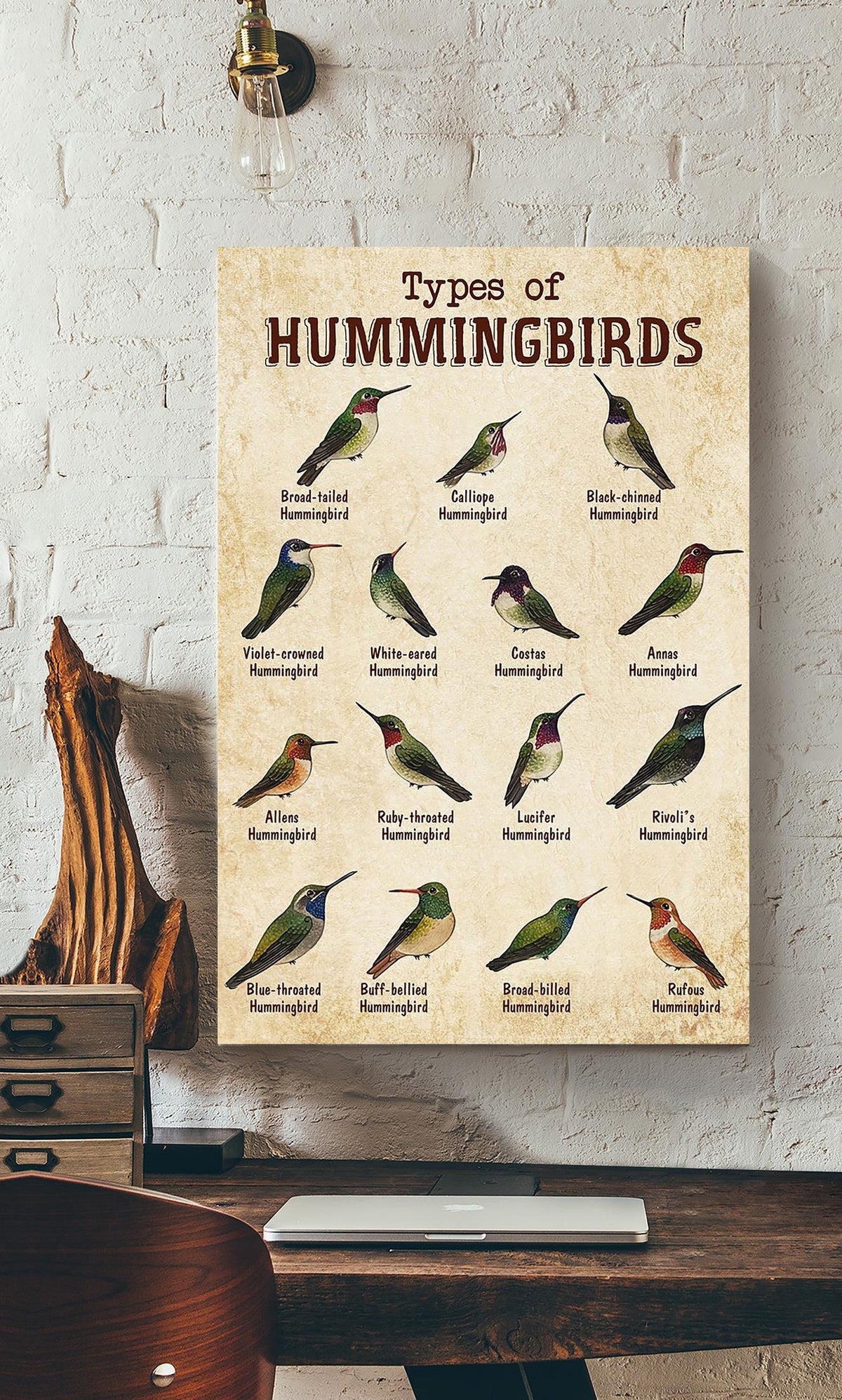 Types Of Hummingbirds Animal Knowledge For Homeschool Nusery Kids Bedroom Decor Canvas