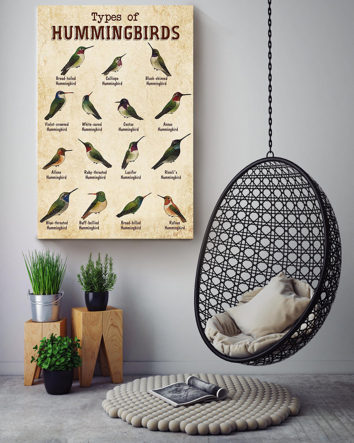 Types Of Hummingbirds Animal Knowledge For Homeschool Nusery Kids Bedroom Decor Canvas