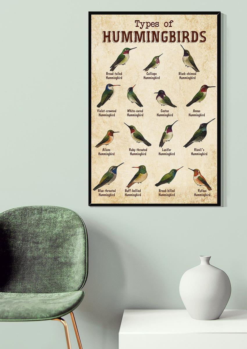 Types Of Hummingbirds Animal Knowledge For Homeschool Nusery Kids Bedroom Decor Canvas