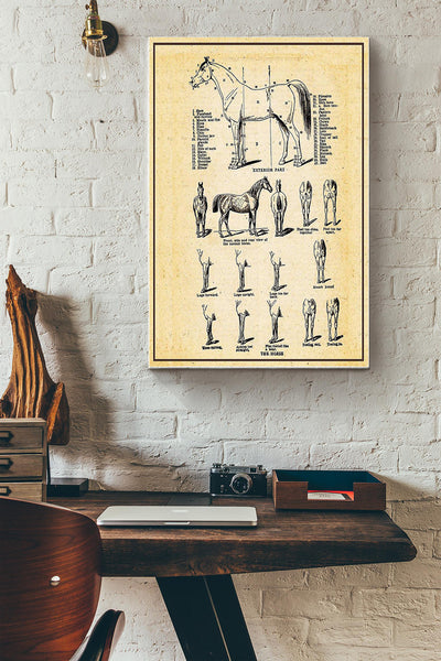 The Horse Anatomy Horse Poster Canvas Gallery Wrapped Canvas Framed Gift Idea