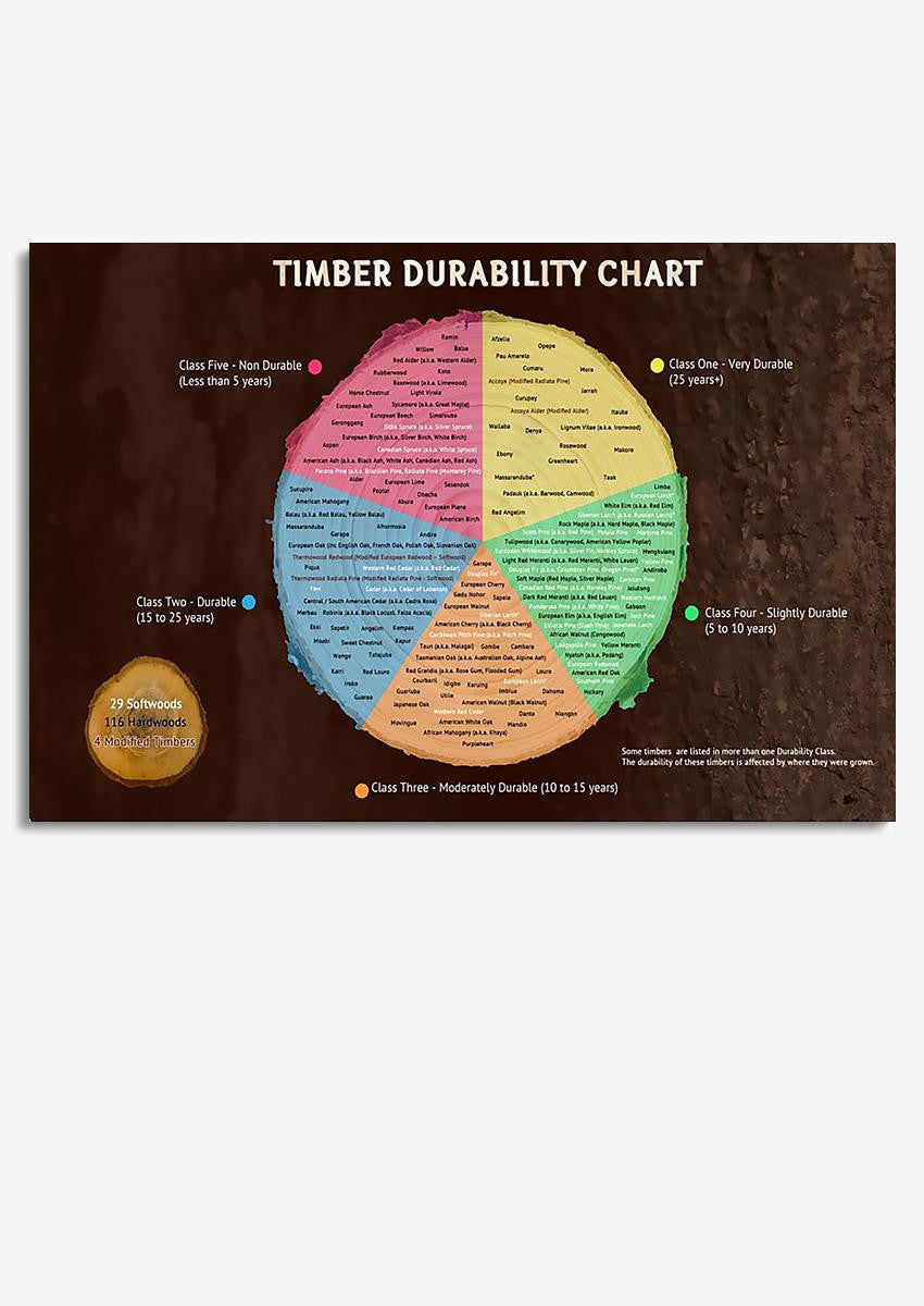 Timber Durability Circle Chart Wood Knowledge Gallery Canvas Wall ArtGift For Carpenter Woodworking Framed Prints, Canvas