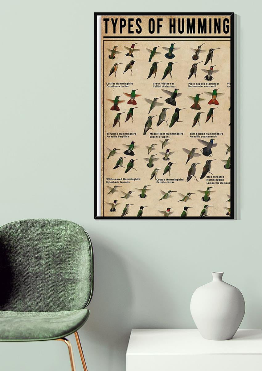 Types Of Hummingbirds Animal Knowledge Gallery Canvas Wall ArtFor Homeschool Nusery Kids Bedroom Decor Canvas Framed Prints, Canvas