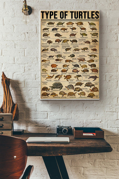 Type Of Turtles Poster Canvas Gallery Wrapped Canvas Framed Gift Idea