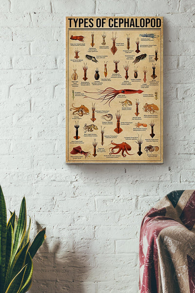 Types Of Cephalopod Poster - Animal Gallery Canvas Wall Art- Gift For Sea Lover Ocean Lover Animal Lover Canvas Gallery Wrapped Canvas Framed Gift Idea Framed Prints, Canvas