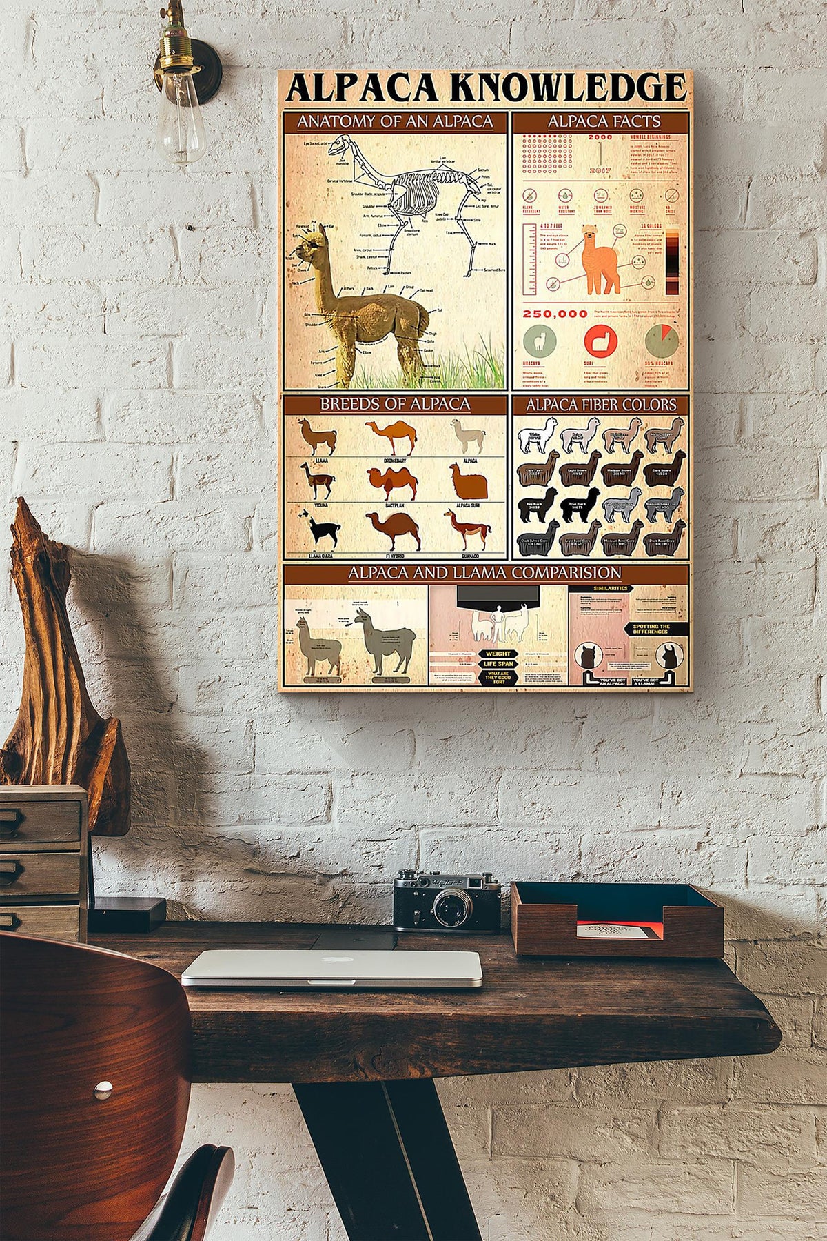 Alpaca Knowledge Canvas Poster, Gift for Alpaca Lovers Canvas Print