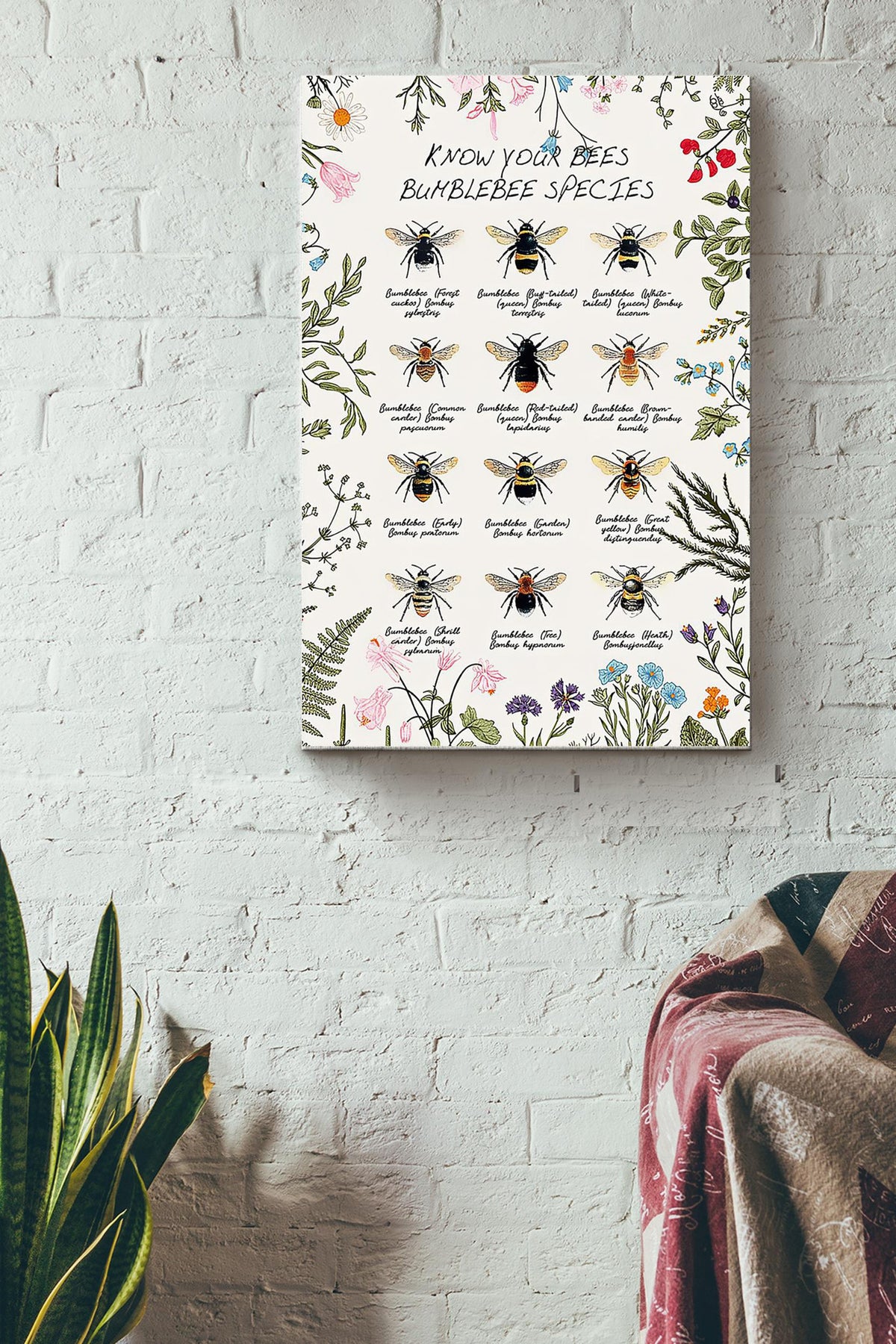 Bee Knowledge Bumblebee Species Poster - Animal Knowledge Wall Art Canvas - Gift For Gir Women Female Male Boy Men Gardener Beekeeper Bee Lover Biologist Gardenkeeper Wrapped Canvas Framed Prints, Canvas