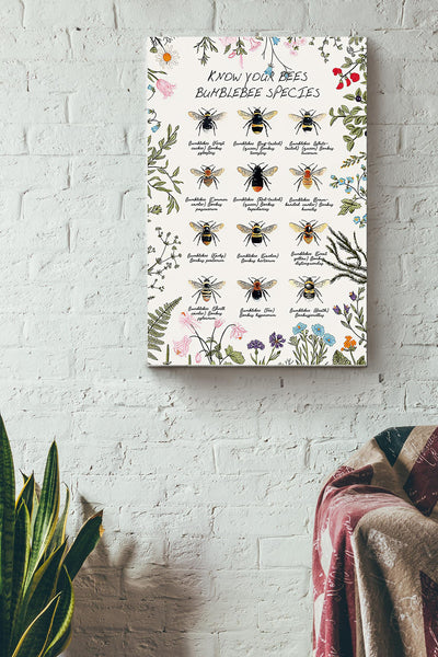 Bee Knowledge Bumblebee Species Poster - Animal Knowledge Wall Art Canvas - Gift For Gir Women Female Male Boy Men Gardener Beekeeper Bee Lover Biologist Gardenkeeper Wrapped Canvas Framed Prints, Canvas