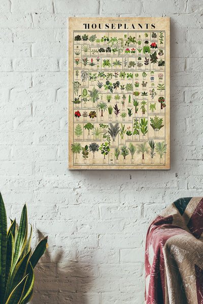 Gardening House Plants Wrapped Canvas